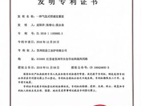 我是胡申岳：这个气压式铝液定量泵，让浇铸精度从“差不多”到“准得很”